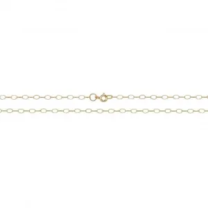 9ct Yellow Gold Lightweight Oval Belcher Chain CH104