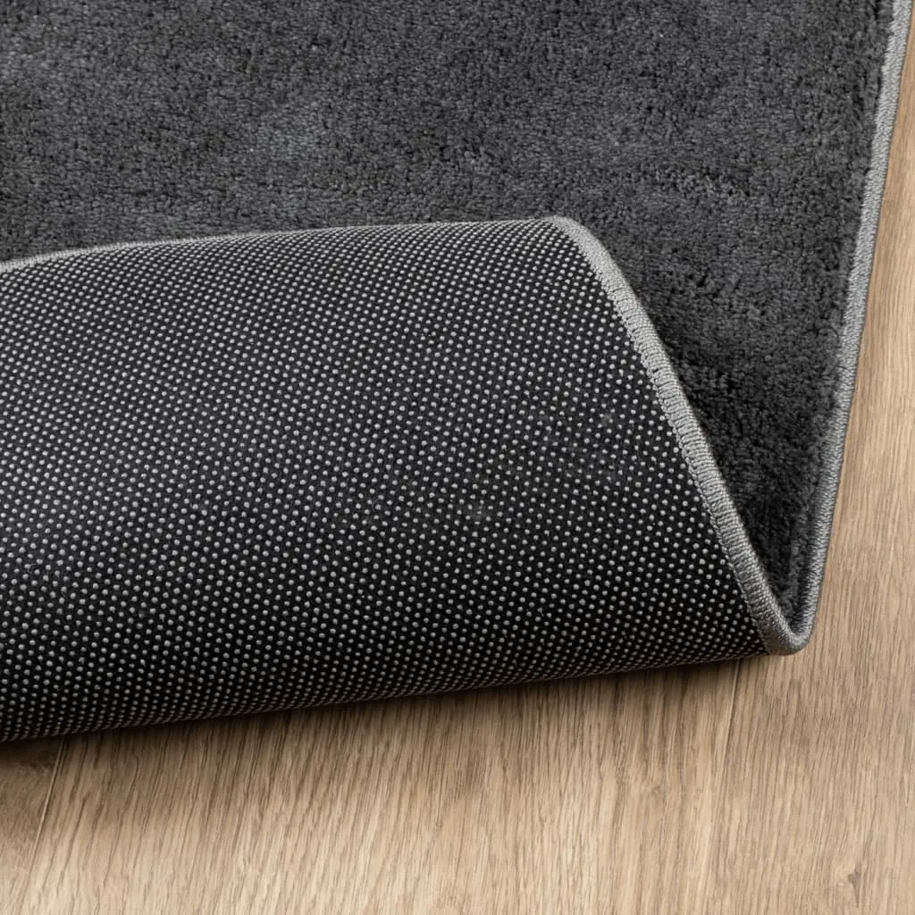 Luxurious vidaXL Rug OVIEDO - Short Pile Anthracite, 200x200 cm - Soft, Durable & Stylish for Modern Homes