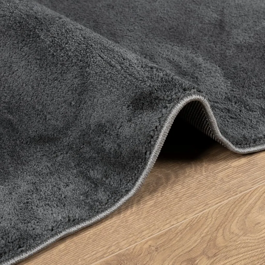 Luxurious vidaXL Rug OVIEDO - Short Pile Anthracite, 200x200 cm - Soft, Durable & Stylish for Modern Homes