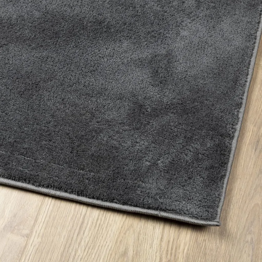 Luxurious vidaXL Rug OVIEDO - Short Pile Anthracite, 200x200 cm - Soft, Durable & Stylish for Modern Homes