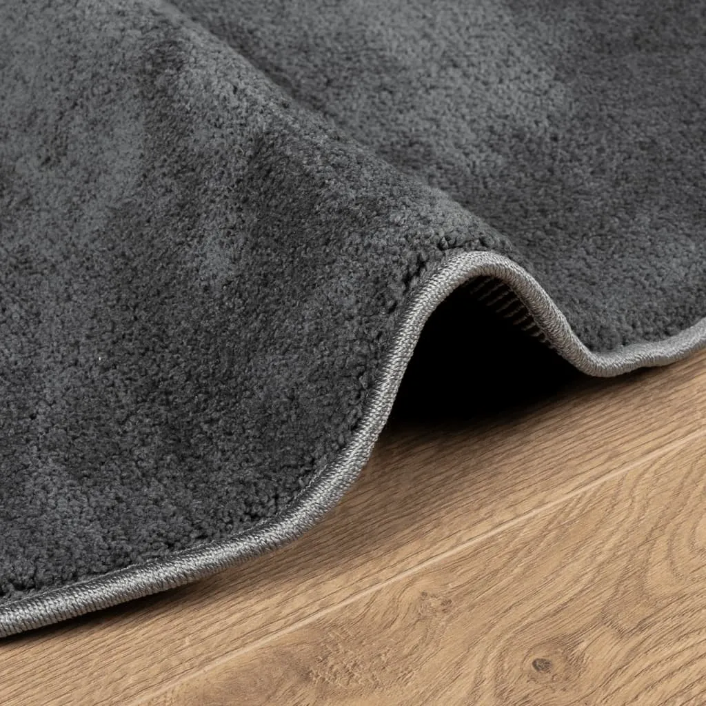 vidaXL OVIEDO Anthracite Short Pile Rug - 240 cm Diameter, Ultra Soft & Durable - Ideal for Living Room, Bedroom, Office