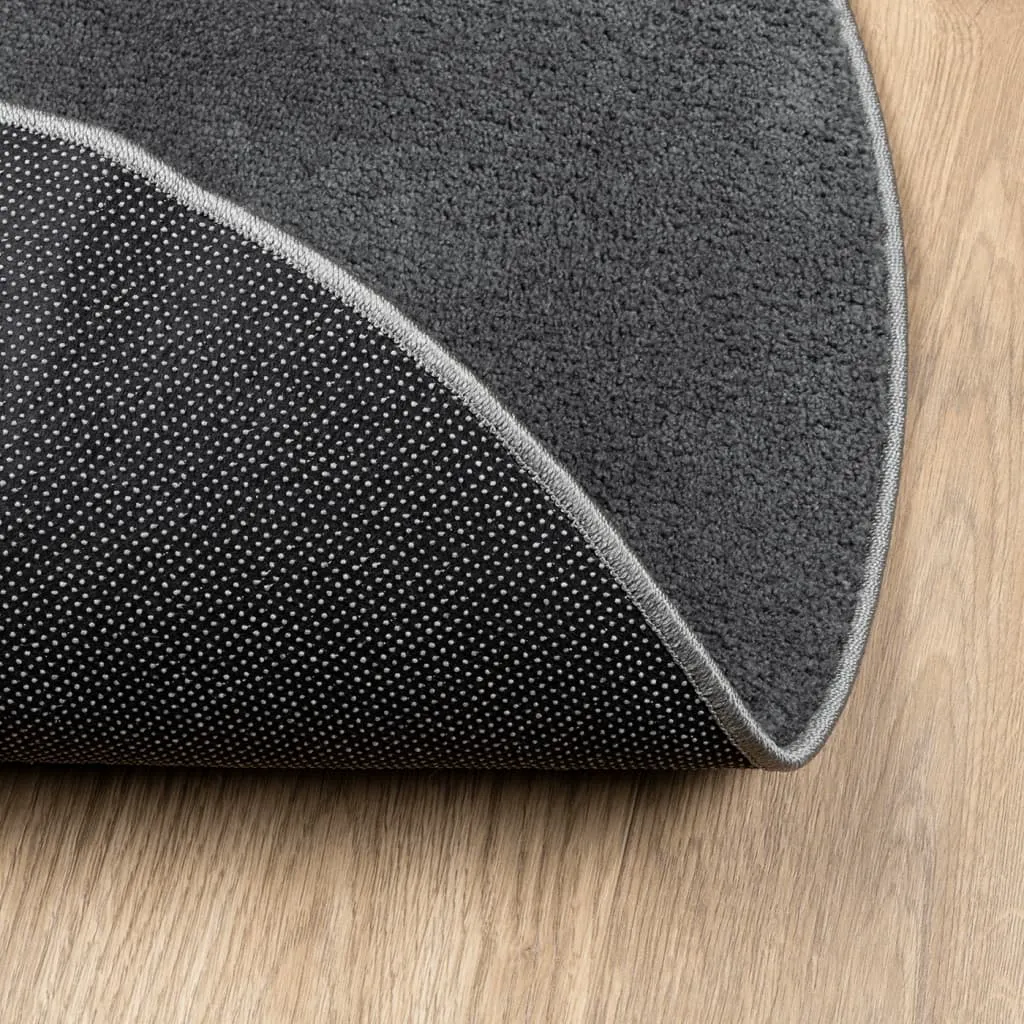 vidaXL OVIEDO Anthracite Short Pile Rug - 240 cm Diameter, Ultra Soft & Durable - Ideal for Living Room, Bedroom, Office