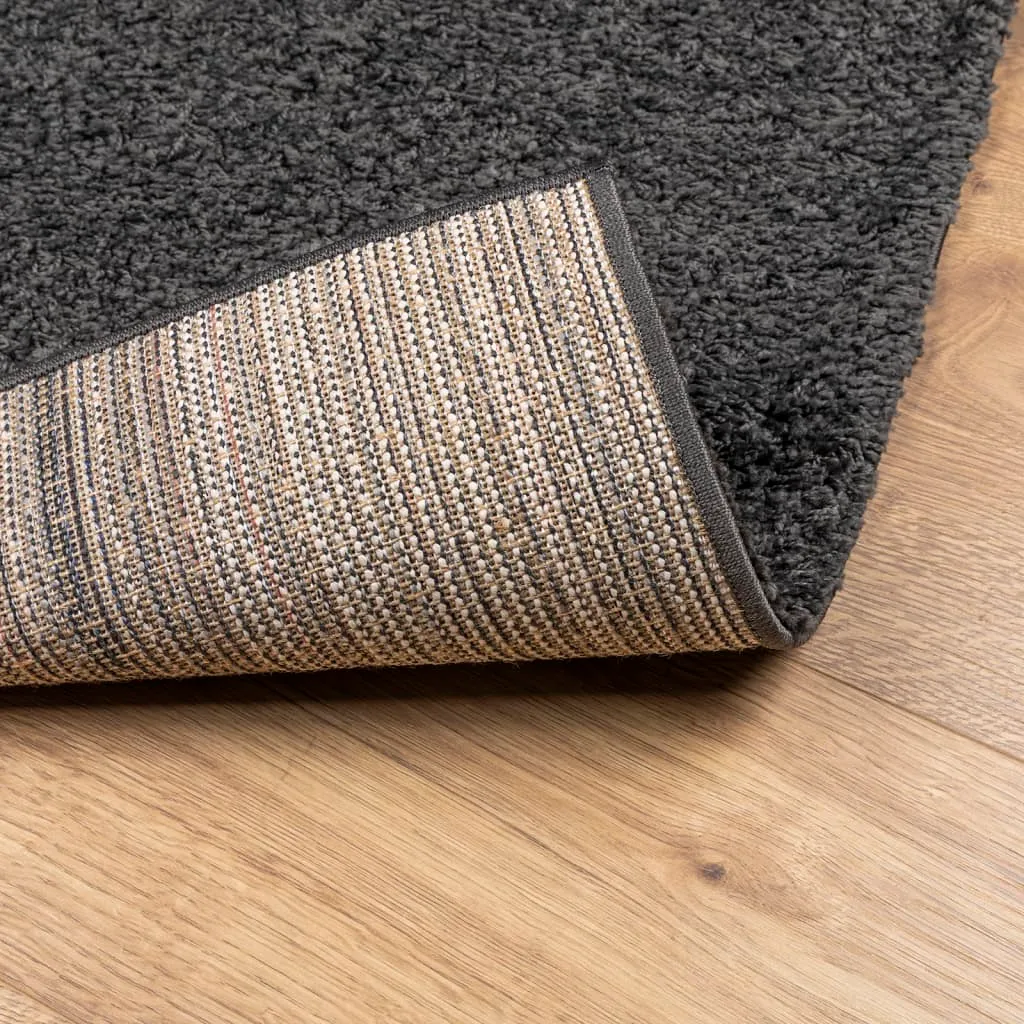 vidaXL Shaggy Rug PAMPLONA - Luxurious High Pile Anthracite Area Rug (240x240 cm) | Soft, Durable, and Easy to Clean