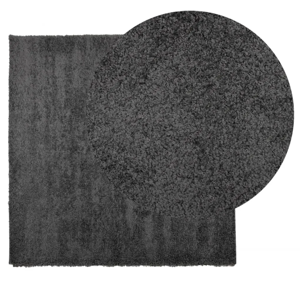 vidaXL Shaggy Rug PAMPLONA - Luxurious High Pile Anthracite Area Rug (240x240 cm) | Soft, Durable, and Easy to Clean