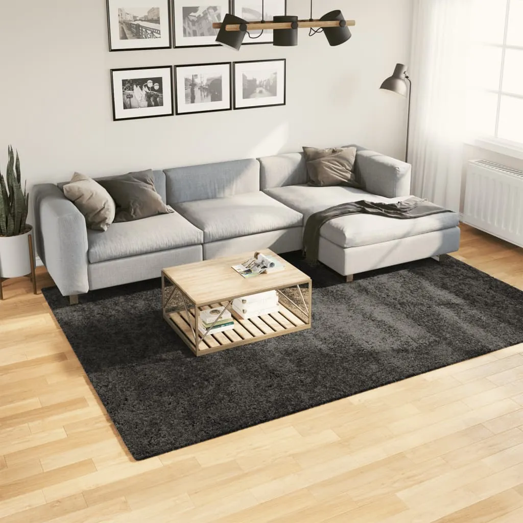 vidaXL Shaggy Rug PAMPLONA - Luxuriously Soft High Pile, Modern Anthracite 200x280 cm, Durable & Easy to Clean